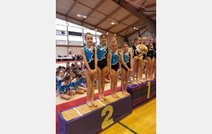 Championnat départemental de Marignane  7- 8 février