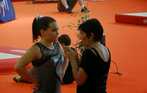 25-26 mars 1/2 finale France indiv