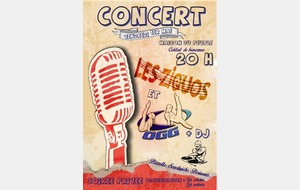 CONCERT ET SOIREE DJ