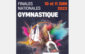 Finale France GAM N3  11 et +